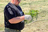В саратовском парке высадили 100 саженцев дуба